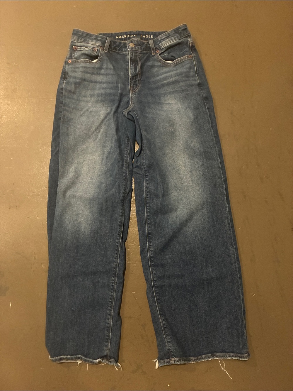 American Eagle Outfitters Low Rise Baggy Wide Leg Size 4 Regular